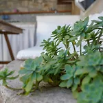 アパート Charming Two-bed Orange Garden スティヴァン