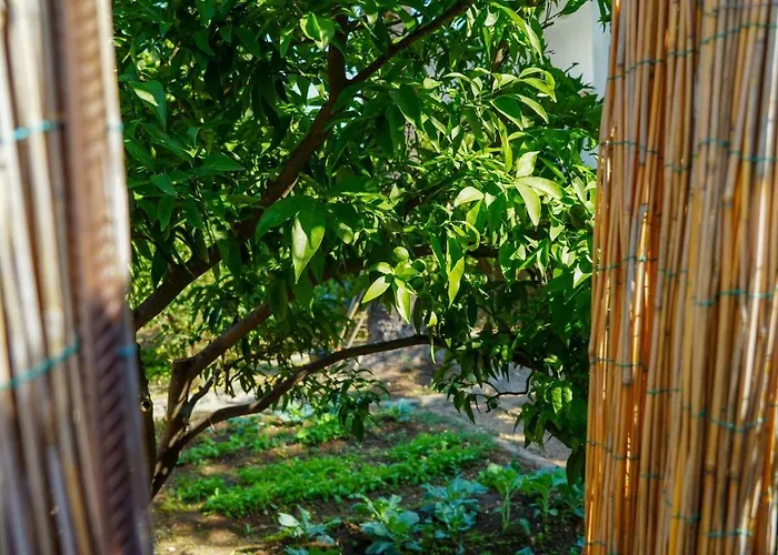 Charming Two-bed Orange Garden דירה סוטיבאן
